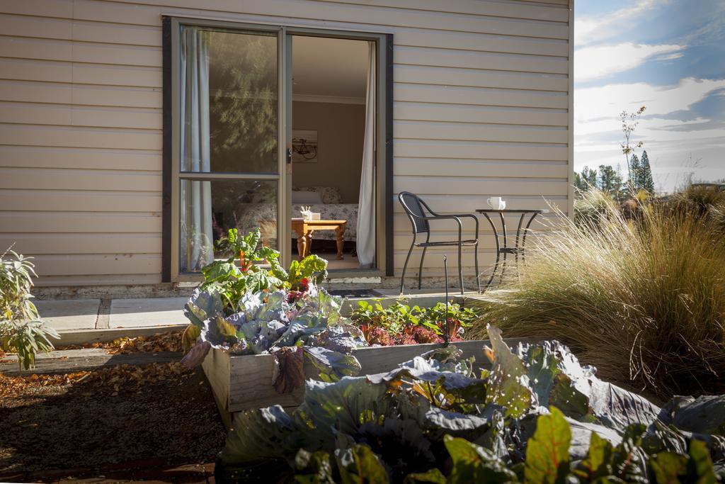 Trout 'N' Trail B&B Ranfurly Bilik gambar